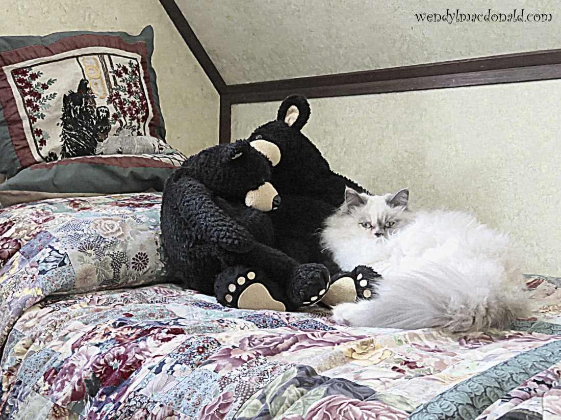 A Case for Compassionate Thoughts wendylmacdonald.com