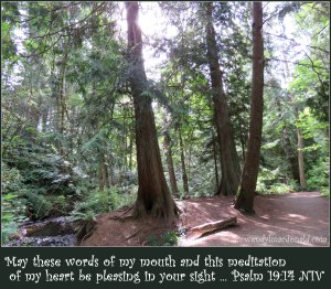 Hearing God Through Tears wendylmacdonald.com