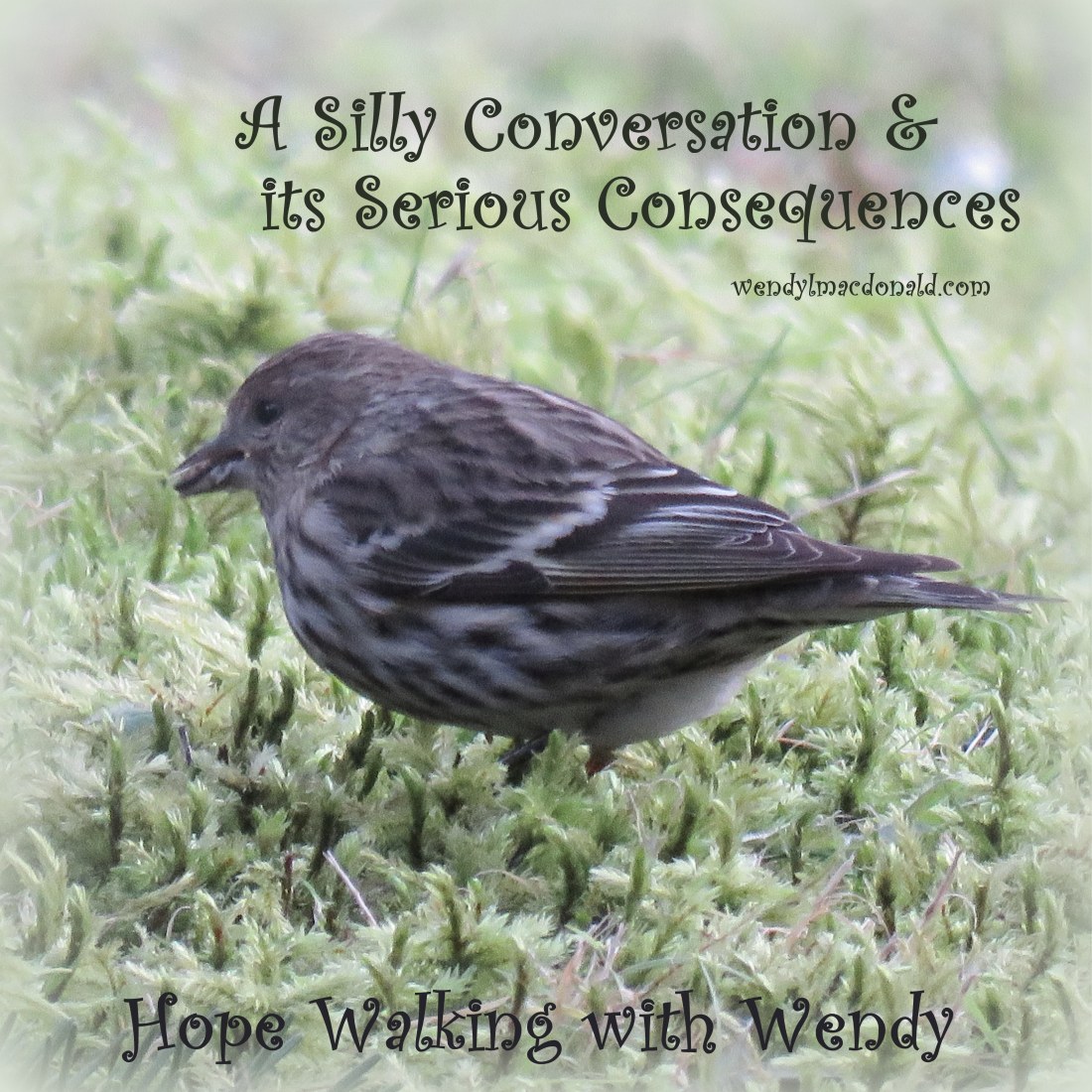 A Silly Conversation & its Serious Consequences wendylmacdonald.com