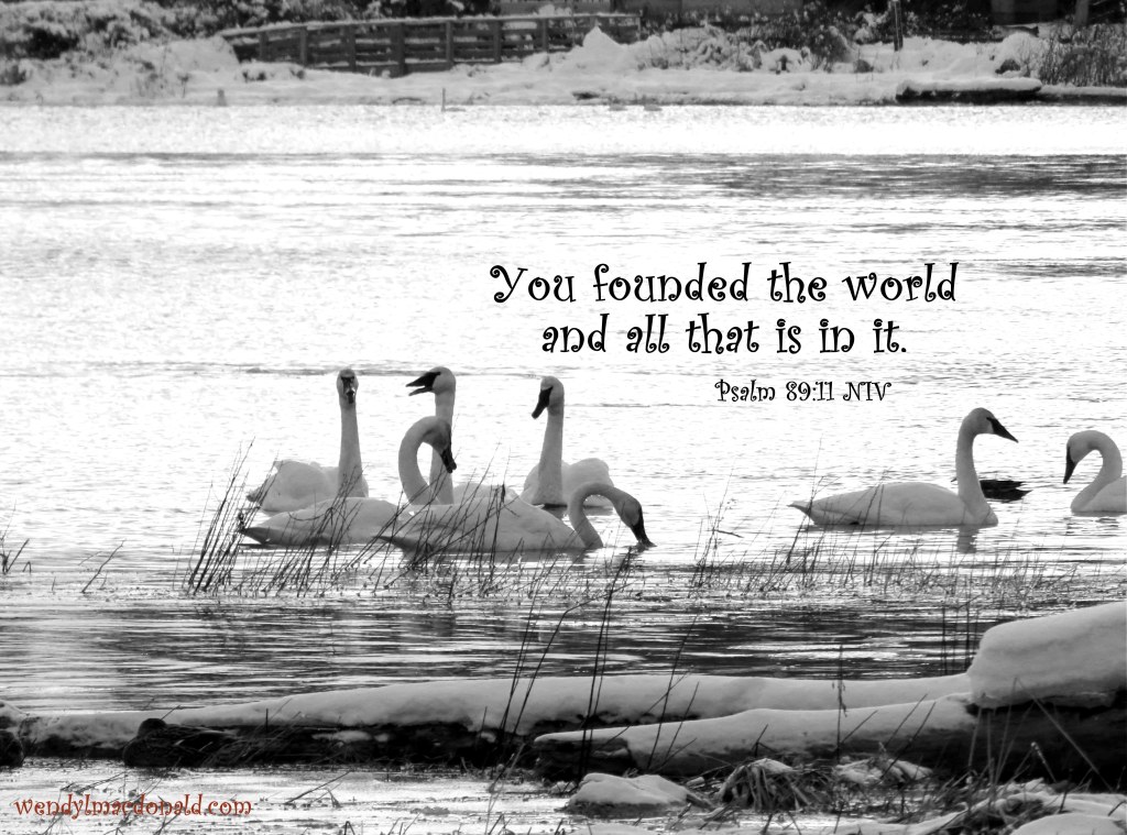 Hearing God Through Nature wendylmacdonald.com