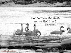 Hearing God Through Nature wendylmacdonald.com