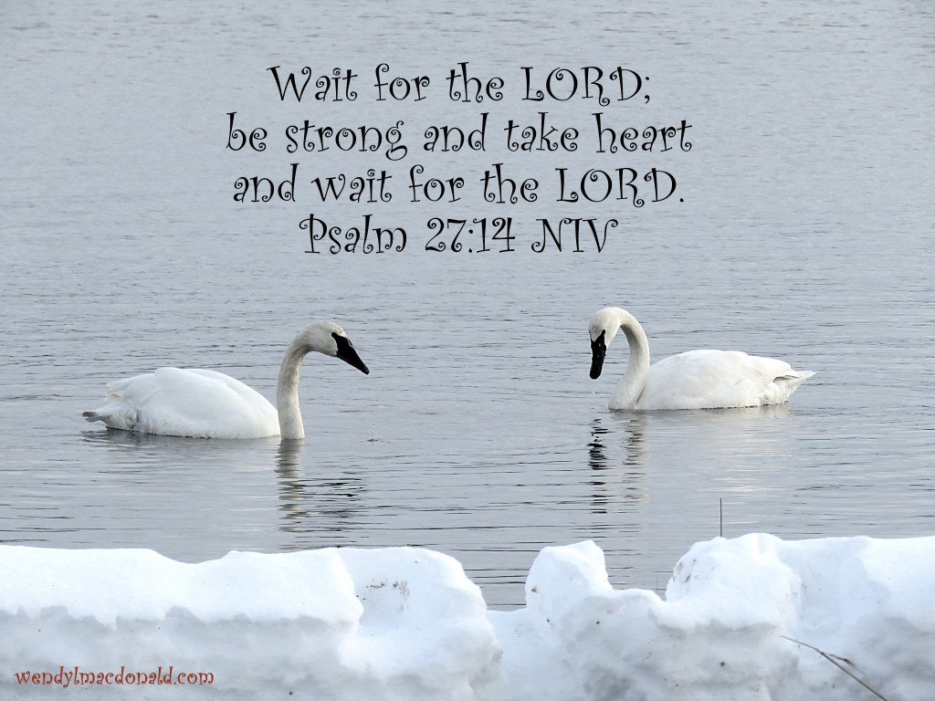 Hearing God Through Nature wendylmacdonald.com