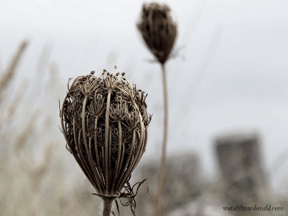 Trusting God when #prayers Seem Unanswered wendylmacdonald.com