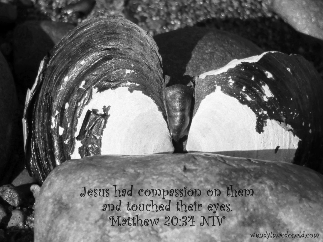 A Case for Compassion Igniting Miracles wendylmacdonald.com