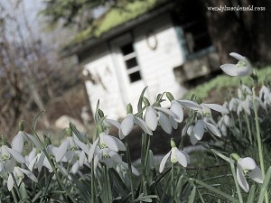 What's the Greatest Gift We Can Give? Part 5 wendylmacdonald.com