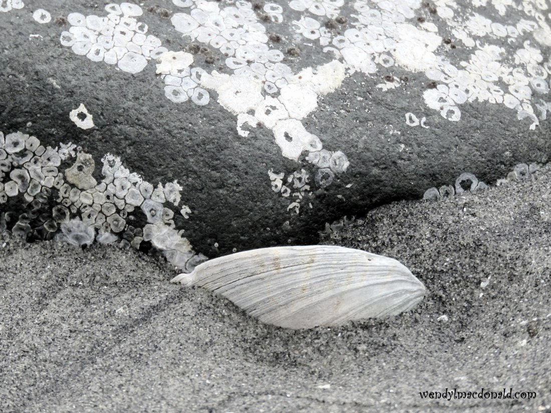 Trusting God when #prayers Seem Unanswered wendylmacdonald.com