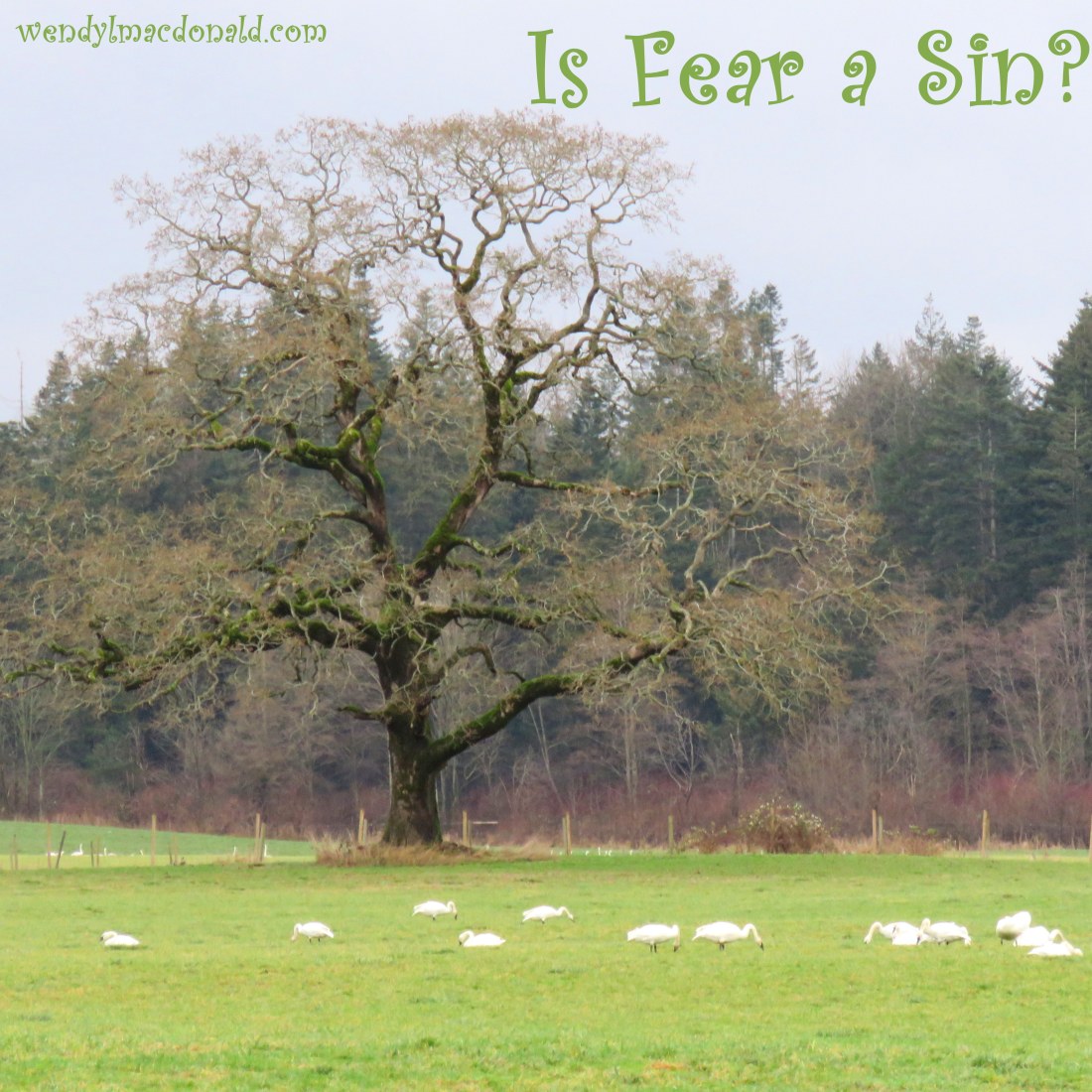 Is Fear a Sin? wendylmacdonald.com