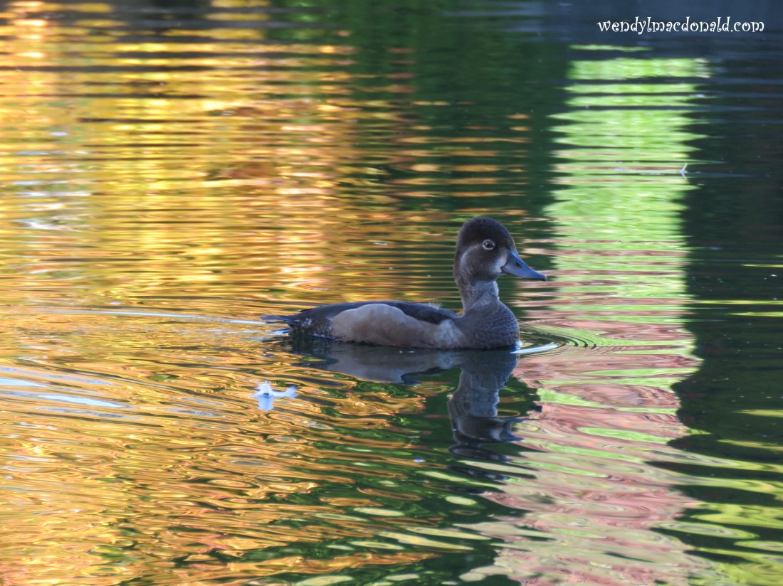 Trusting God When the Wicked Win wendylmacdonald.com Seek your happiness in the Lord, and he will give you your heart’s desire. Psalm 37:4 (GNT)