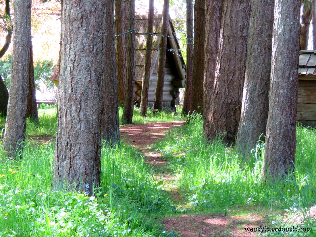 Is Fear a Fiend or Friend? Wendy L. Macdonald wendylmacdonald.com